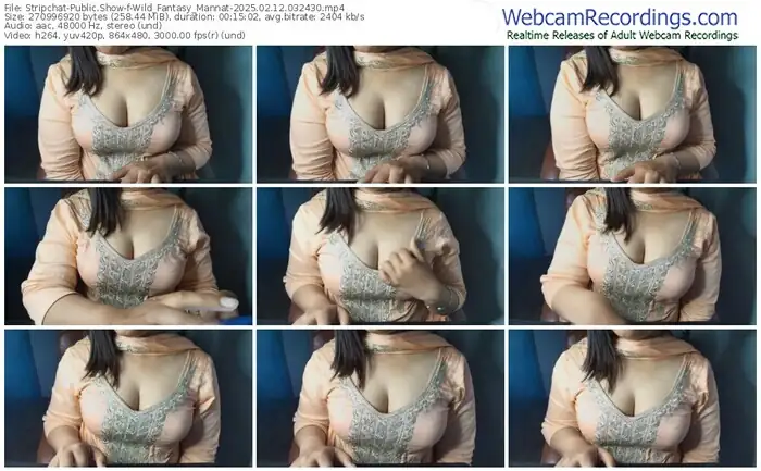 2025/02/12/stripchat-wild_fantasy_mannat-03-24-30