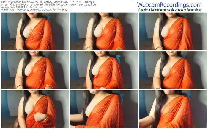2025/02/12/stripchat-wild_fantasy_mannat-12-31-10