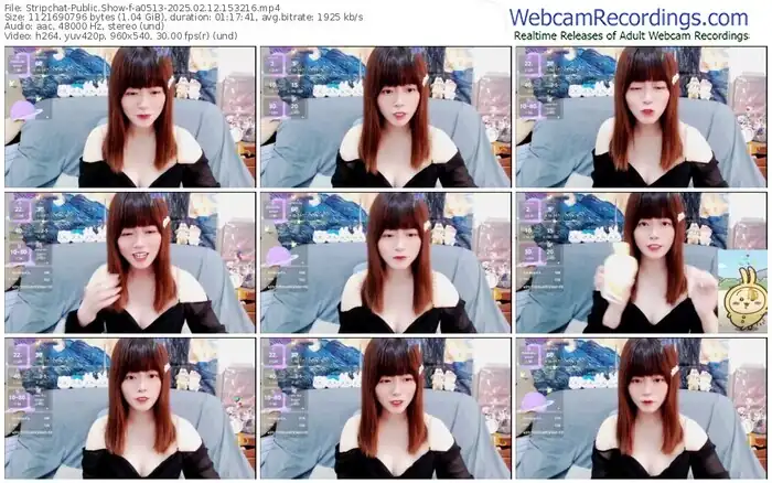 2025/02/12/stripchat-a0513-15-32-16