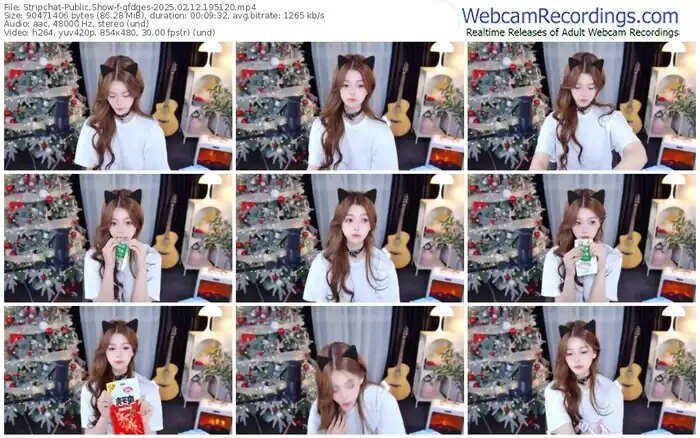 2025/02/12/stripchat-gfdges-19-51-20