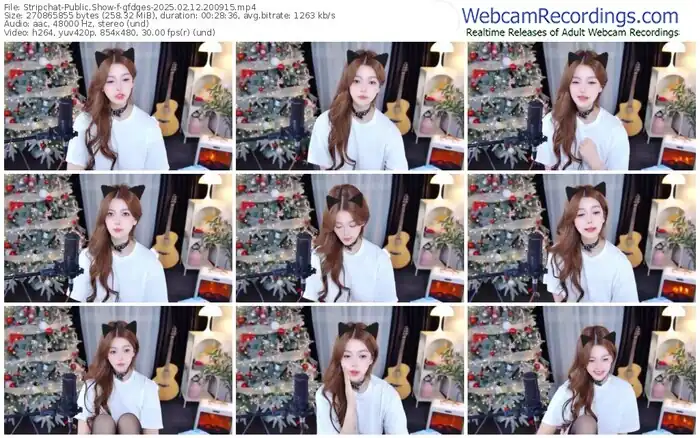 2025/02/12/stripchat-gfdges-20-09-15