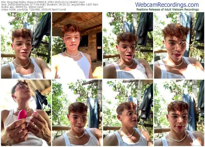 2025/02/12/stripchat-prince_stev-18-48-37