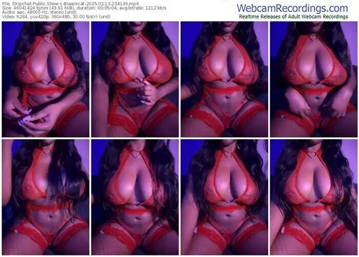2025/02/13/stripchat-blaackcat-23-41-36
