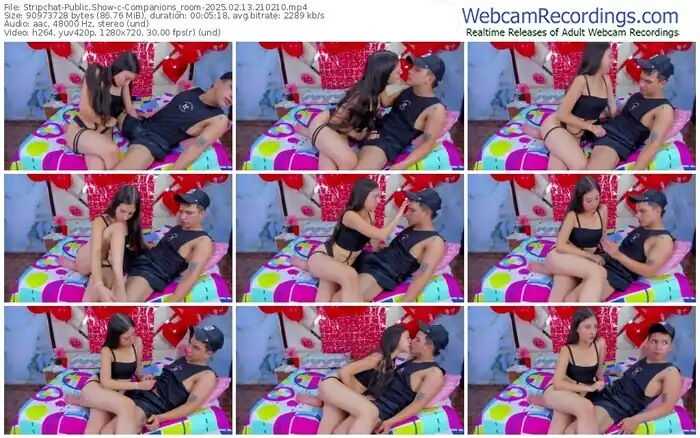2025/02/13/stripchat-companions_room-21-02-10