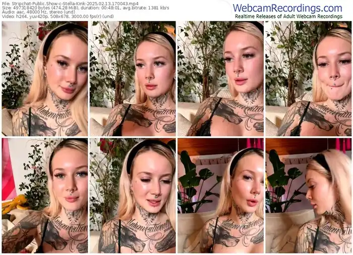 2025/02/13/stripchat-stella-kink-17-00-43