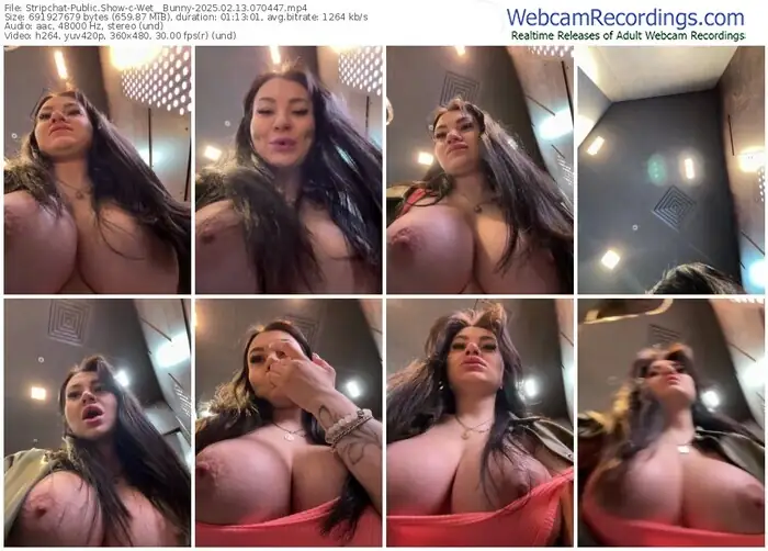 2025/02/13/stripchat-wet__bunny-07-04-47