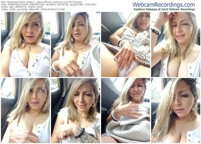 2025/02/13/stripchat-_abril-office1-15-57-33