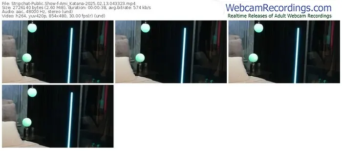 2025/02/13/stripchat-ami_katana-04-33-23
