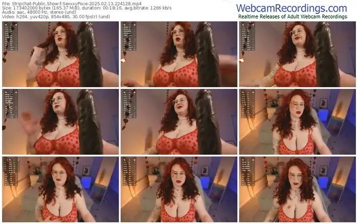 2025/02/13/stripchat-sexxxypixie-22-41-28