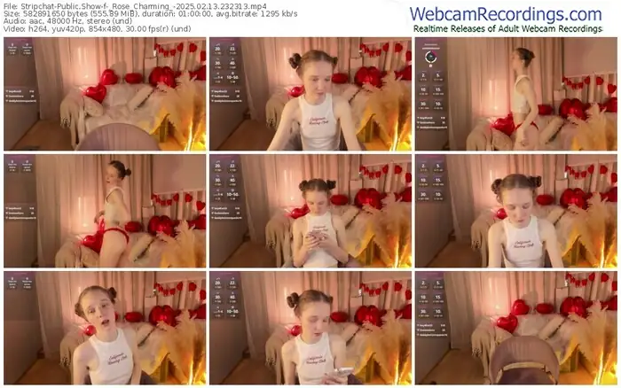 2025/02/13/stripchat-_rose_charming_-23-23-13