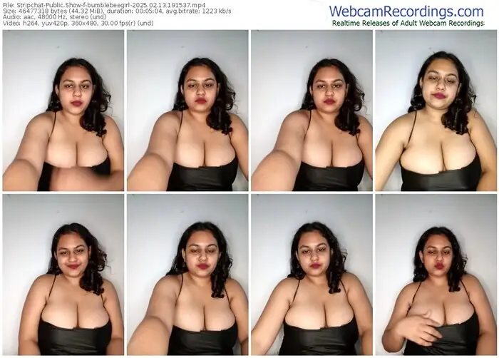 2025/02/13/stripchat-bumblebeegirl-19-15-37