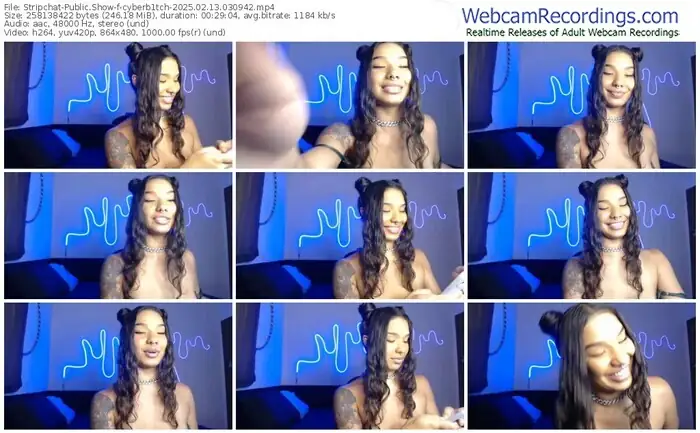 2025/02/13/stripchat-cyberb1tch-03-09-42