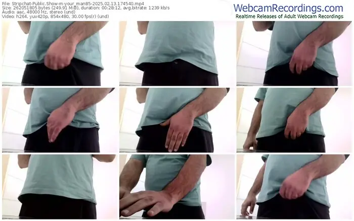 2025/02/13/stripchat-your_man85-17-45-40