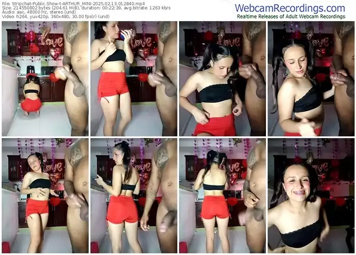 2025/02/13/stripchat-arthur_mini-01-28-40