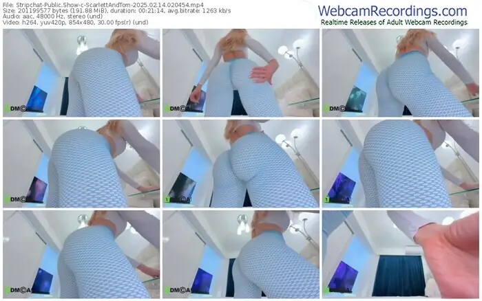 2025/02/14/stripchat-scarlettandtom-02-04-54