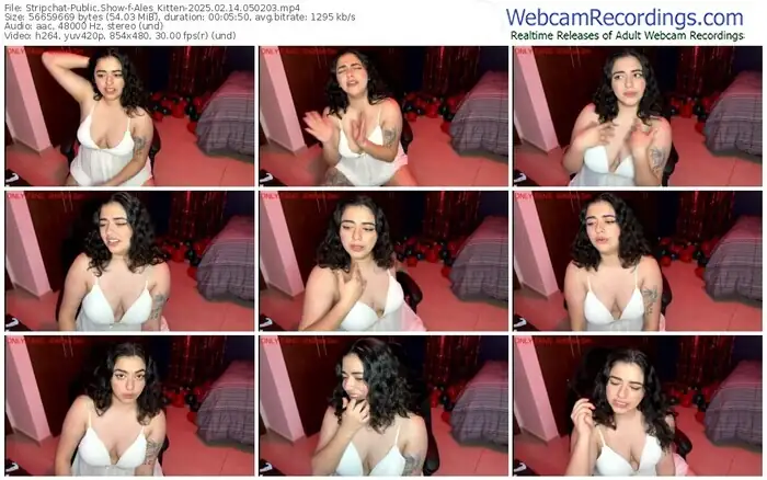 2025/02/14/stripchat-ales_kitten-05-02-03