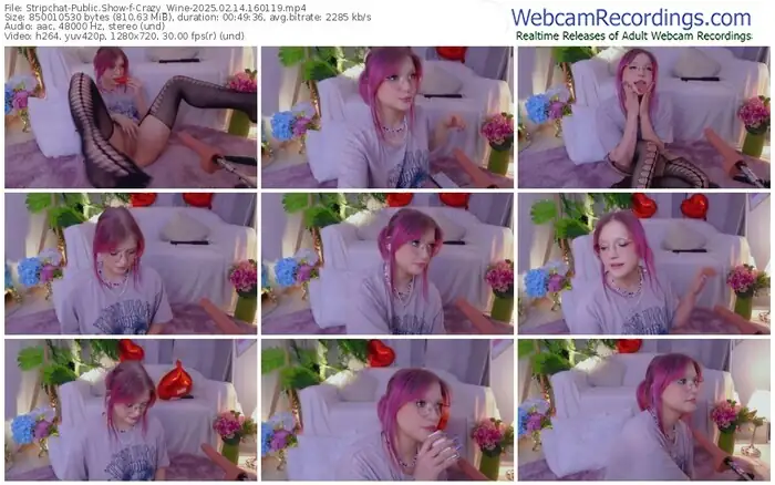 2025/02/14/stripchat-crazy_wine-16-01-19