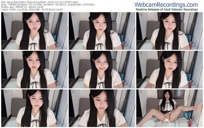 2025/02/14/stripchat-fountain--17-54-55