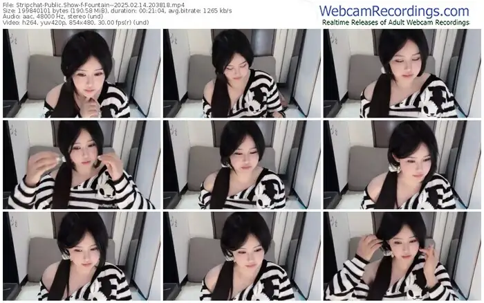 2025/02/14/stripchat-fountain--20-38-18