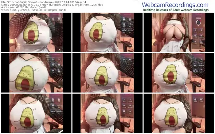 2025/02/14/stripchat-hoot-anime--20-18-44