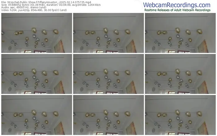 2025/02/14/stripchat-tiffanyhouston_-07-57-25