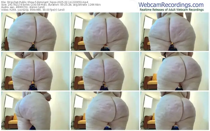 2025/02/14/stripchat-dominant_hipss-22-26-53