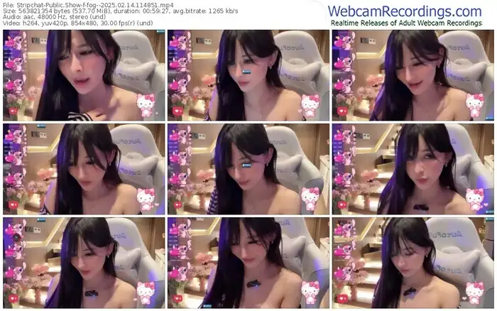 2025/02/14/stripchat-fog--11-48-51