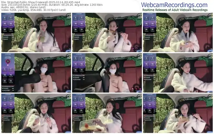 2025/02/14/stripchat-newwell-20-14-35
