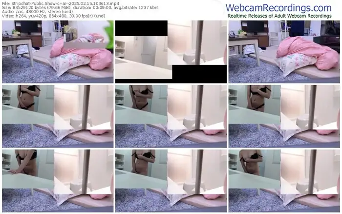 2025/02/15/stripchat--ai--10-36-13