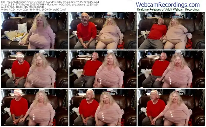 2025/02/15/stripchat-bigdaddyandsweetmama-22-26-45
