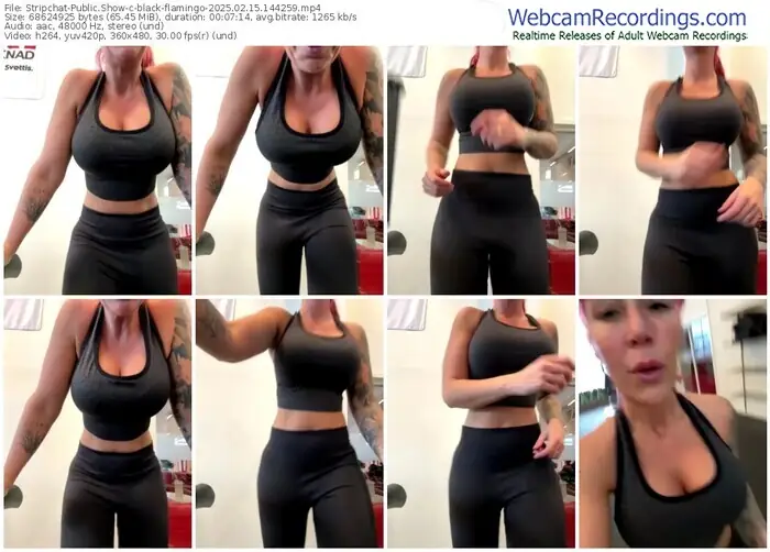 2025/02/15/stripchat-black-flamingo-14-42-59
