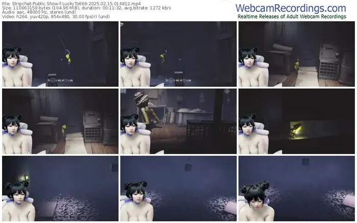 2025/02/15/stripchat-luckyto666-01-48-12