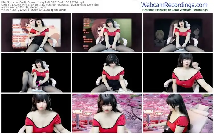 2025/02/15/stripchat-luckyto666-17-32-20