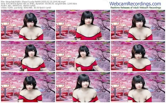 2025/02/15/stripchat-luckyto666-19-41-46