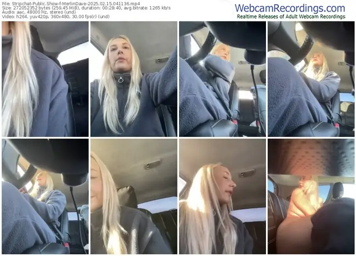 2025/02/15/stripchat-merlindave-04-11-36