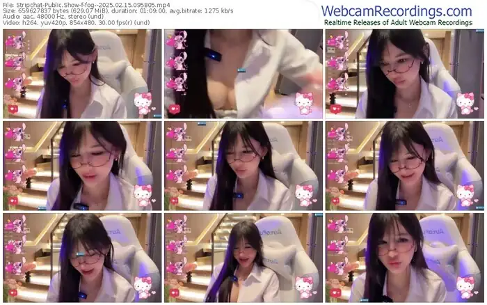 2025/02/15/stripchat-fog--09-58-05