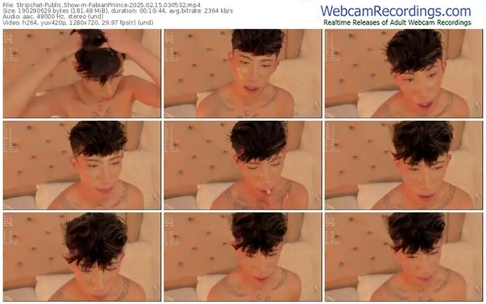 2025/02/15/stripchat-fabianpriince-03-05-32