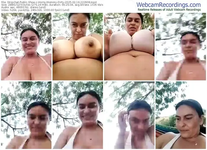 2025/02/16/stripchat-horny-mommy-dirty-22-29-08