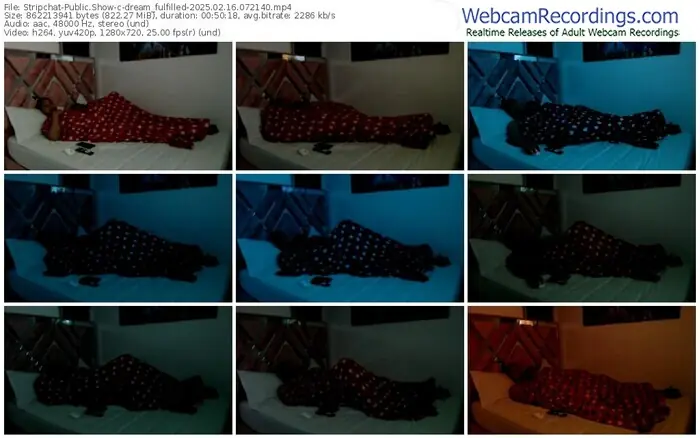 2025/02/16/stripchat-dream_fulfilled-07-21-40