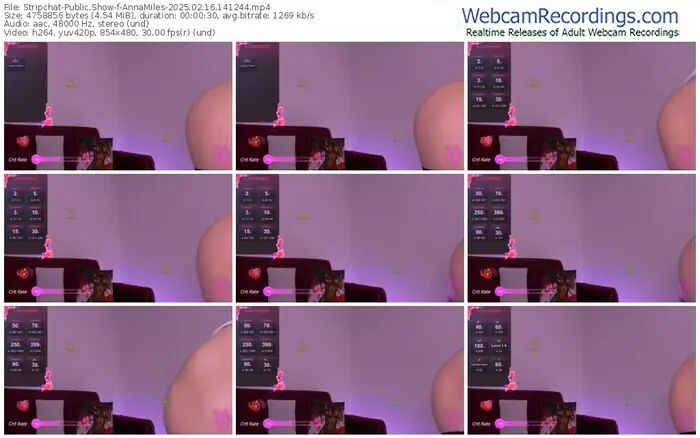 2025/02/16/stripchat-annamiles-14-12-44