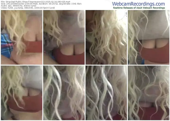 2025/02/16/stripchat-impression222-08-14-29