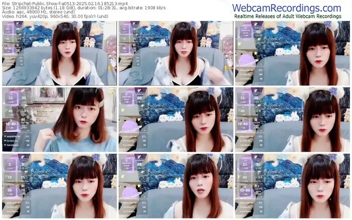 2025/02/16/stripchat-a0513-18-52-13