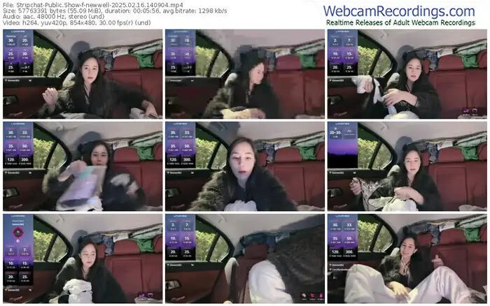 2025/02/16/stripchat-newwell-14-09-04