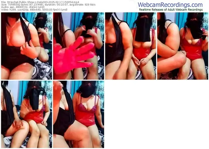 2025/02/17/stripchat-dala333-15-00-54