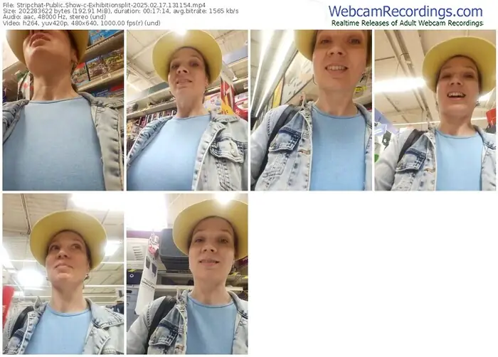 2025/02/17/stripchat-exhibitionsplit-13-11-54