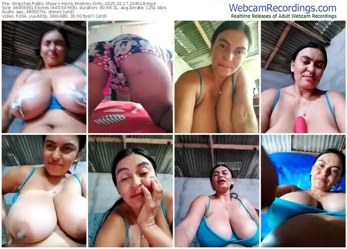 2025/02/17/stripchat-horny-mommy-dirty-20-45-18