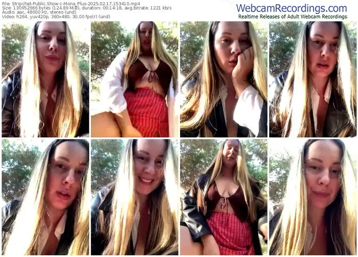 2025/02/17/stripchat-mona_plus-15-34-10