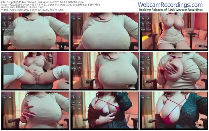 2025/02/17/stripchat-hoot-anime--08-05-02