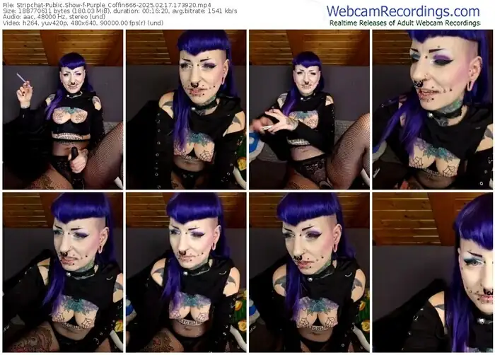 2025/02/17/stripchat-purple_coffin666-17-39-20
