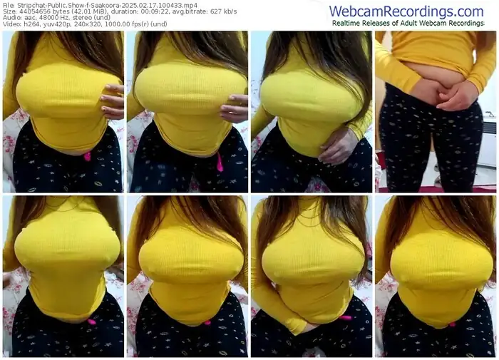 2025/02/17/stripchat-saakoora-10-04-33